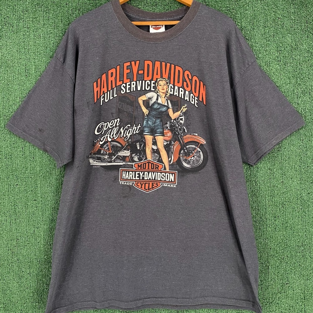 Harley-Davidson Gray Graphic T-Shirt